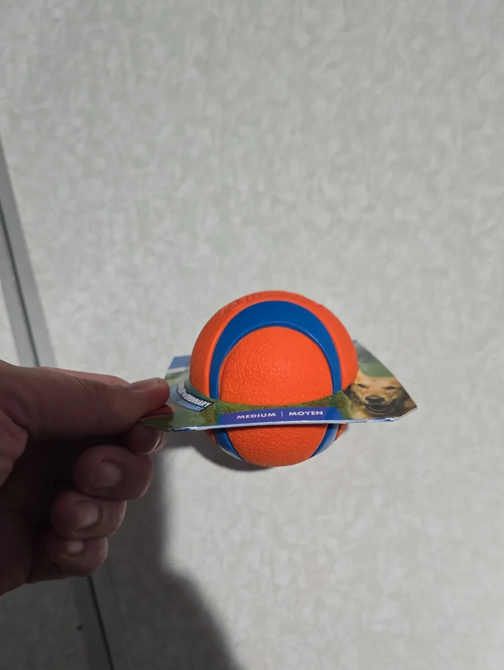 Chuck It Ultra Ball Medium - Orange and Blue Durable Dog‎ Fetch Toy NWT